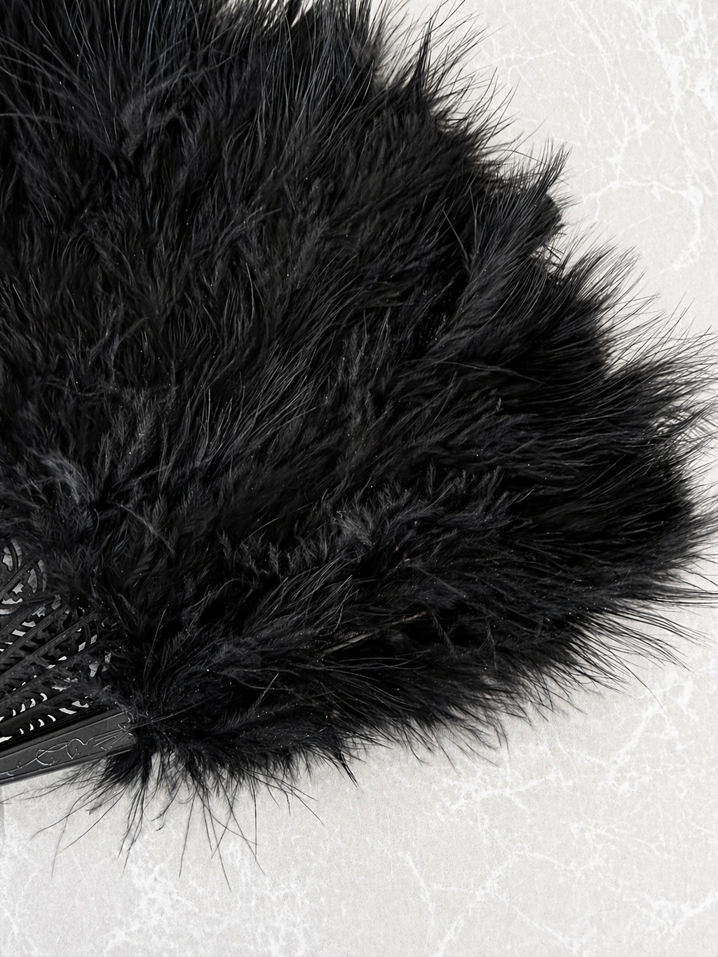 Black Feather Noir Fan